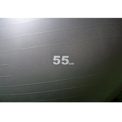 Workout Ball (Without Pump)
