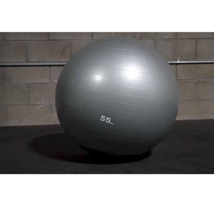 Workout Ball (Without Pump)