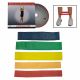 Workoutz Ankle Resistance Band Set With DVD
