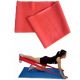 Workoutz Physical Therapy Resistance Bands (4 Feet Length)