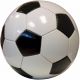 Workoutz Official Size 5 Soccer Ball - OUT OF STOCK
